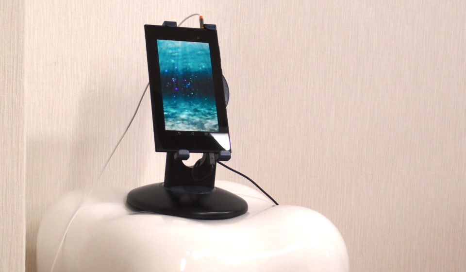 OLYMPUS DIGITAL CAMERA